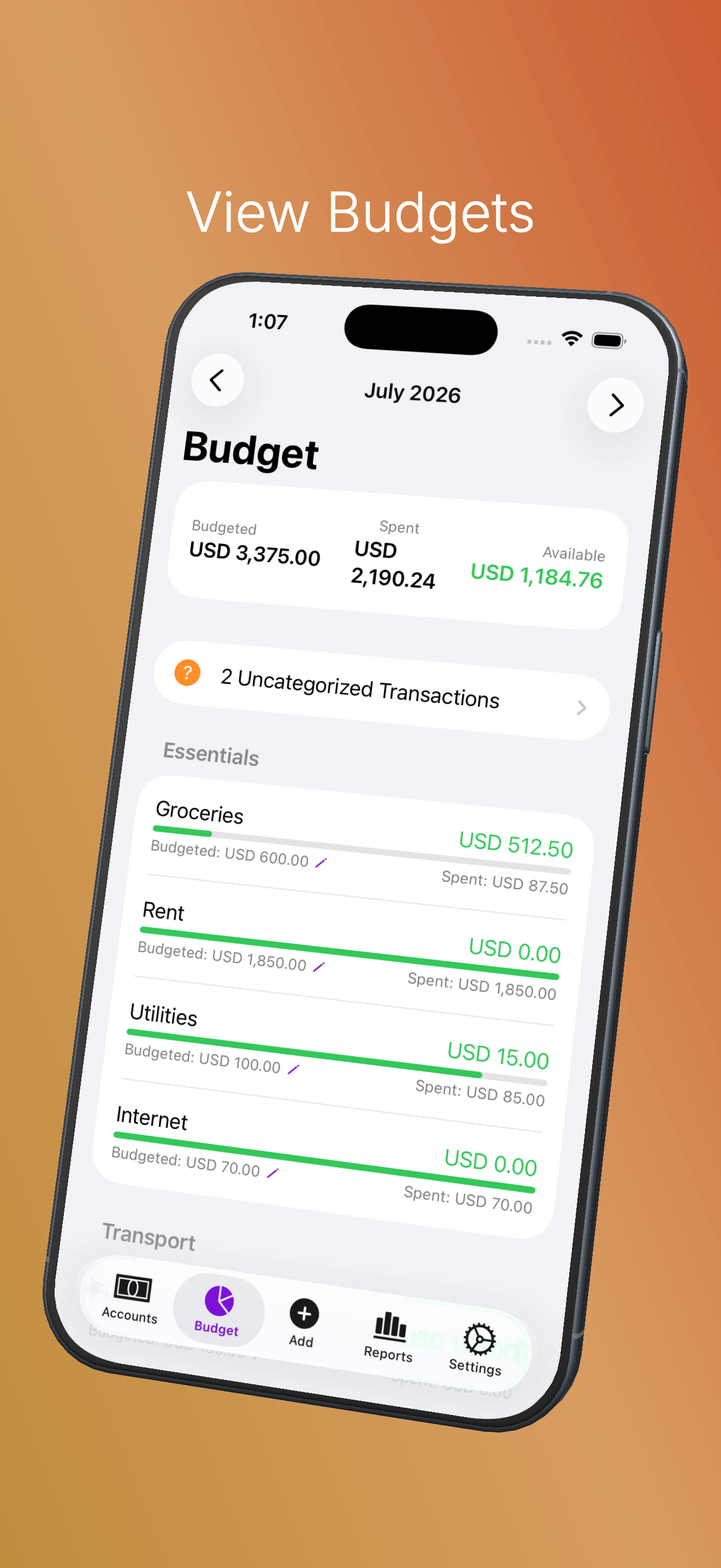 The Budget tab showing category totals and progress bars for the current month.